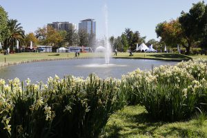 Abierto del PWCC 2016