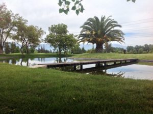 Abierto Las Araucarias 2017