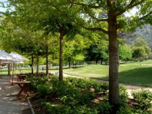Abierto Club de Polo 2017